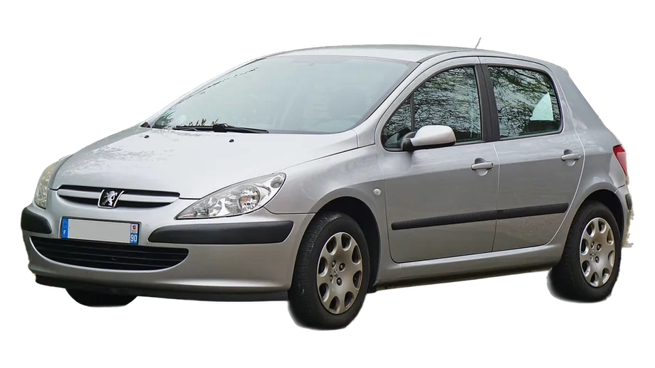 PEUGEOT 307 · T5 hatchback / 2000-2005