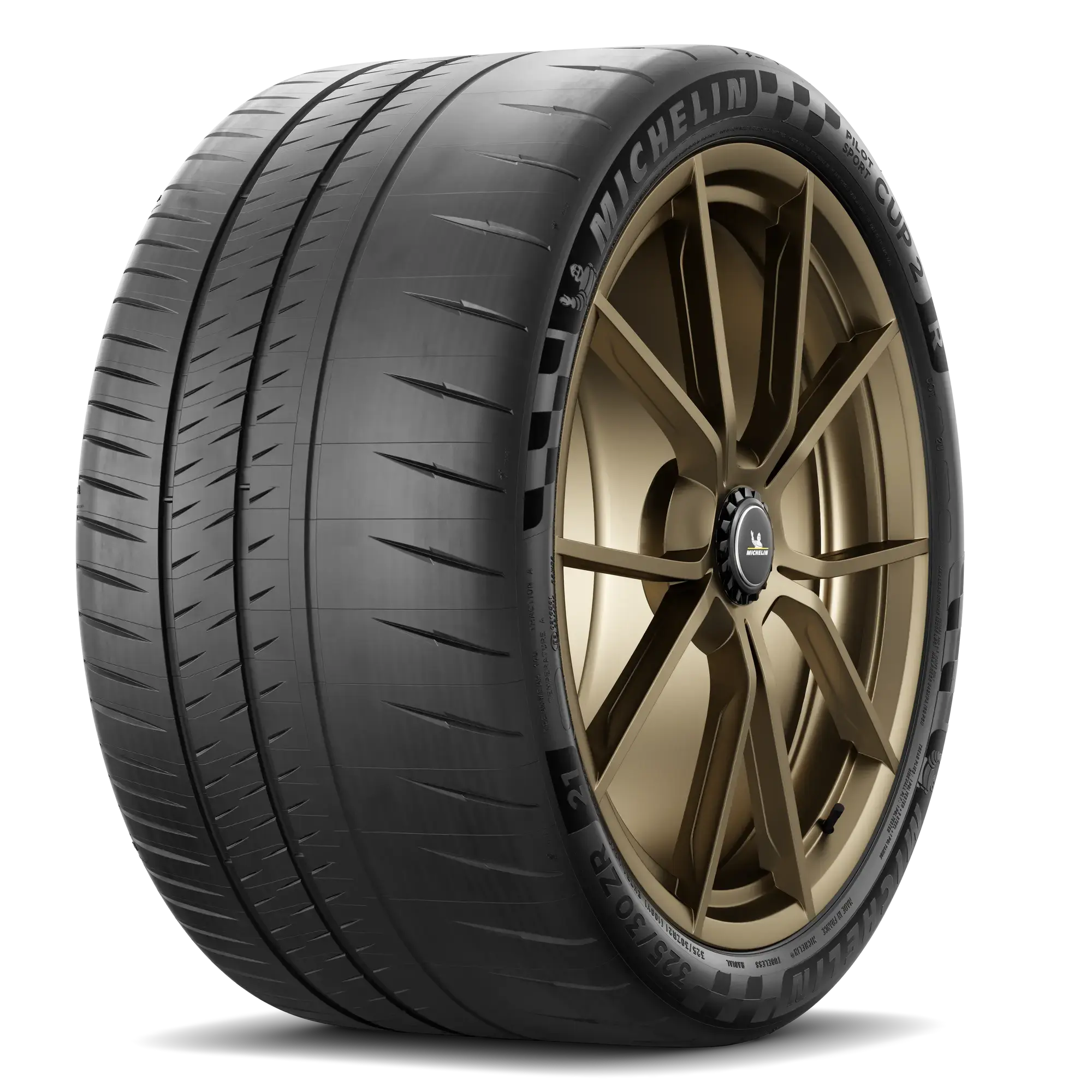 Michelin PILOT SPORT CUP 2 R lastiği